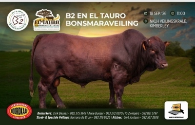 B2 & EL Tauro Bonsmaraveiling