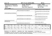 BOS22432 - 2