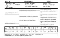 HG23886 - 2