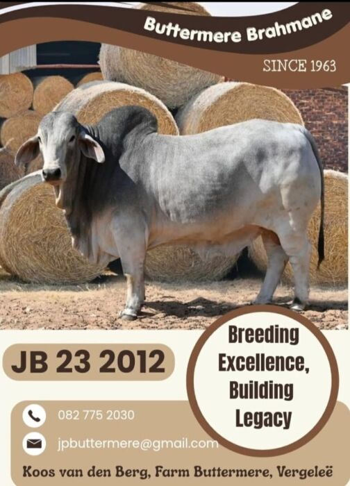 JB232012