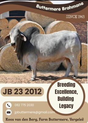 JB232012